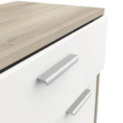 Demeyere Meuble De Rangement 2 Portes 1 Tiroir Léo -Accueil Décoration Boutique meuble de rangement 2 portes 1 tiroir leo 3